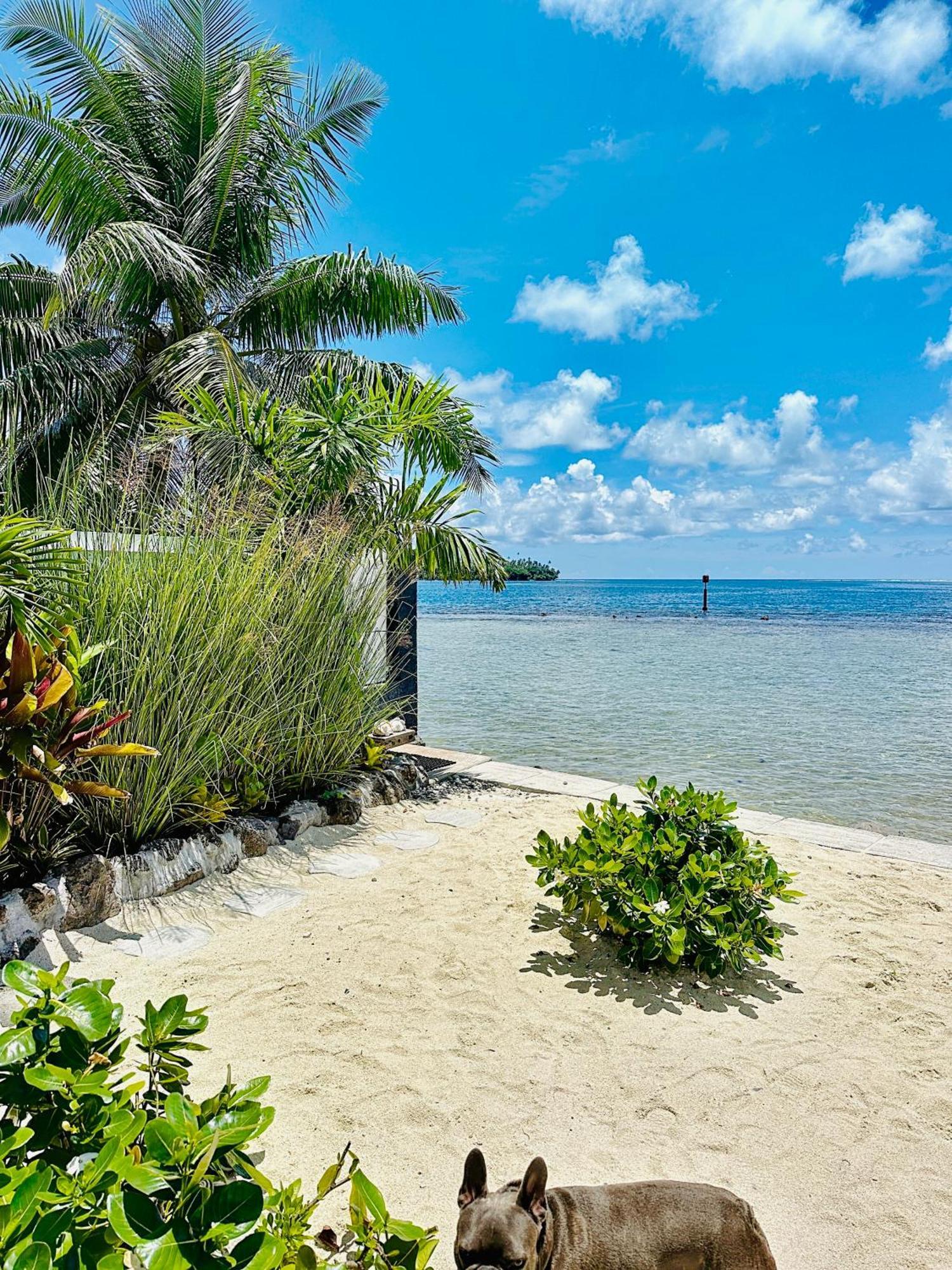 Pension Irivai, Appartement Rava 1 Chambre Bord De Mer ウツロア エクステリア 写真