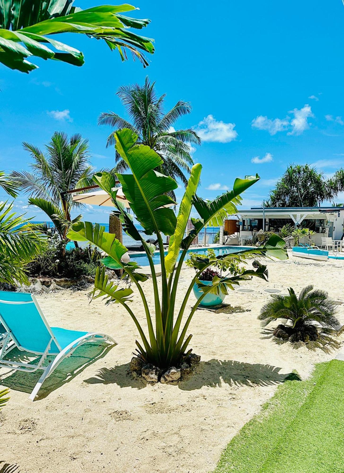 Pension Irivai, Appartement Rava 1 Chambre Bord De Mer ウツロア エクステリア 写真