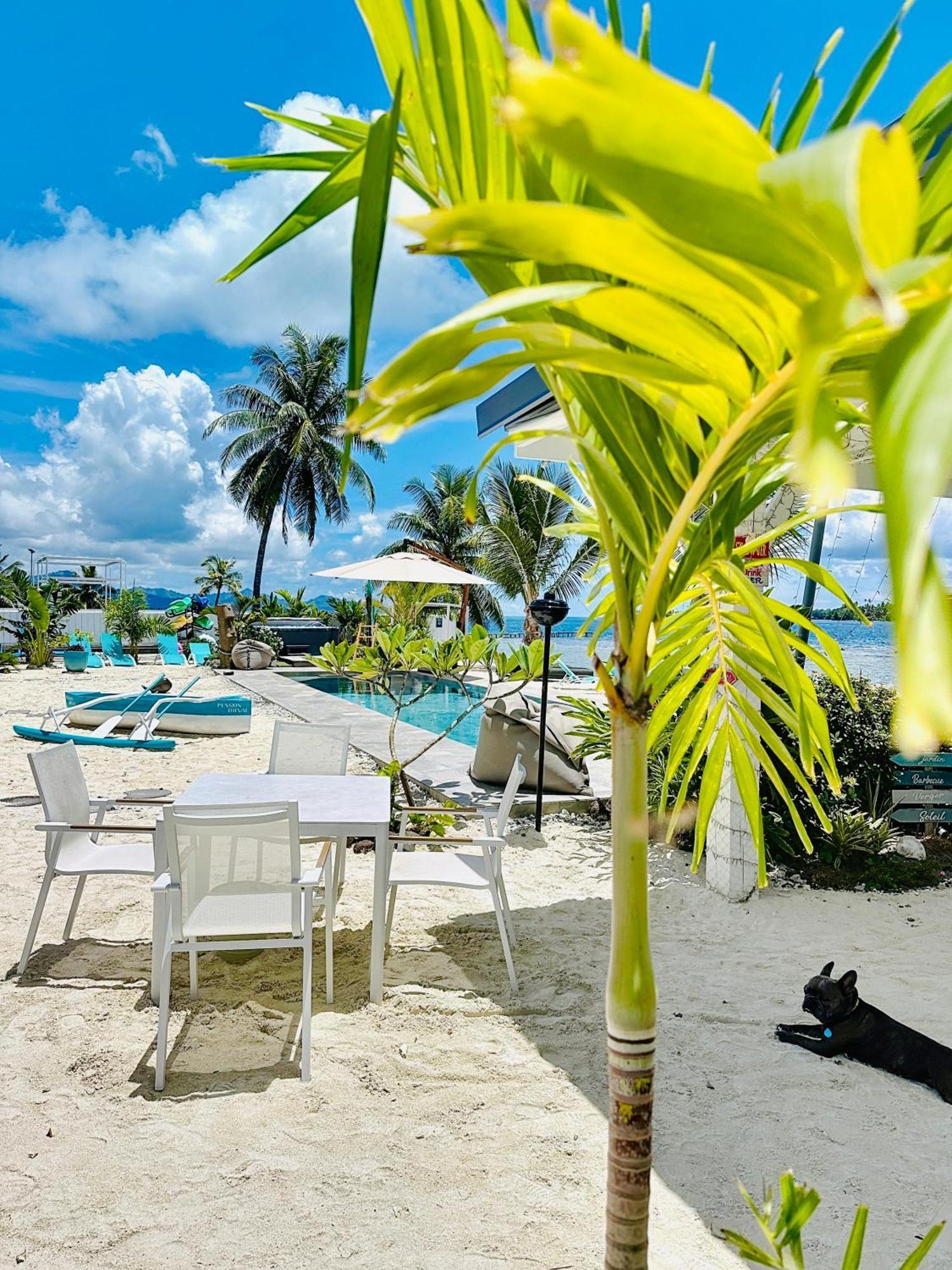 Pension Irivai, Appartement Rava 1 Chambre Bord De Mer ウツロア エクステリア 写真